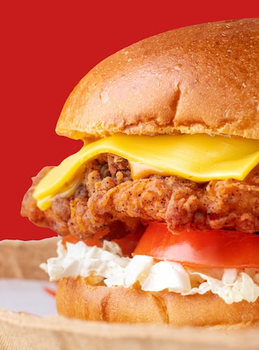 Chicken Zinger Burger